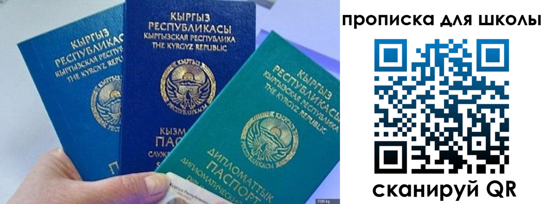 прописка регистрация в Орехово-Зуево